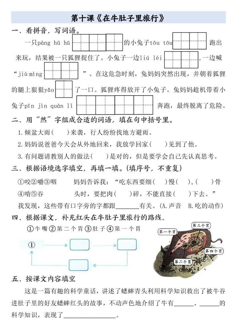 全册一课一练（空白）三上语文_3年级小红书最新热门资料