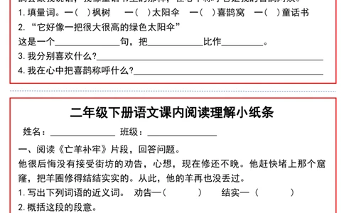2052二（下）语文课内阅读理解小纸条_二年级上下册资料_二年级下册小红书同款资料_二下语文_二下语文
