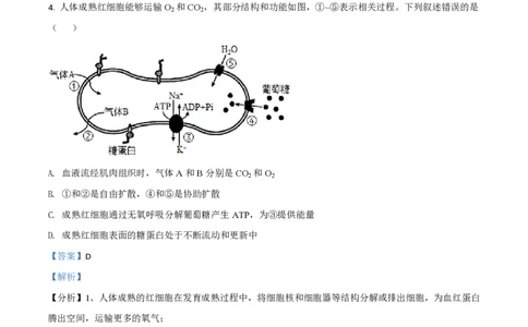 2021年高考生物试卷（河北）（解析卷）_生物历年高考真题_新&middot;PDF版2008-2025&middot;高考生物真题_生物（按试卷类型分类）2008-2025_自主命题卷&middot;生物（2008-2025）_河北自主命题&middot;生物（2021-2025）