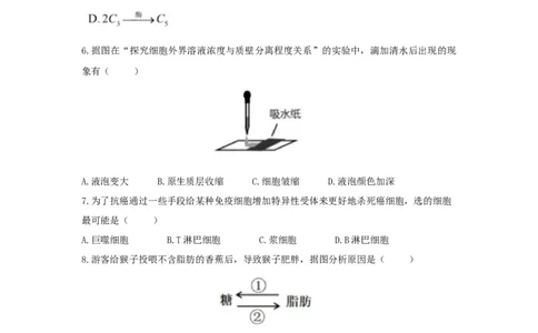 2021年高考生物试卷（上海）（空白卷）_生物历年高考真题_新&middot;Word版2008-2025&middot;高考生物真题_生物（按省份分类）2008-2025_2008-2022&middot;（上海）生物高考真题