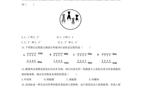 2021年高考生物试卷（上海）（空白卷）_生物历年高考真题_新&middot;Word版2008-2025&middot;高考生物真题_生物（按省份分类）2008-2025_2008-2022&middot;（上海）生物高考真题