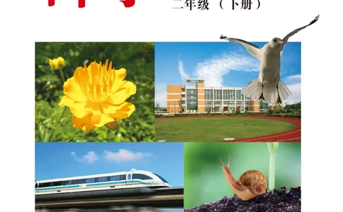 冀教版2年级科学下册高清教材_全部版本&bull;小学科学电子课本_冀教版小学科学电子课本