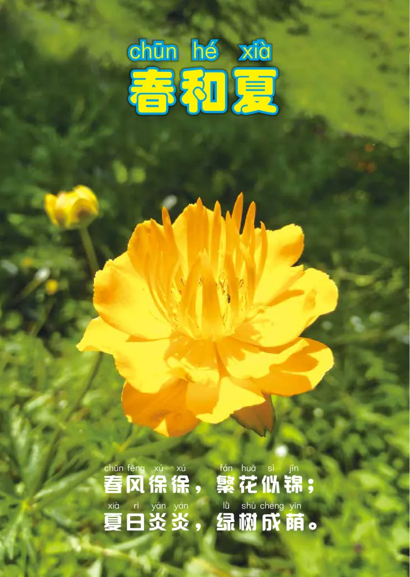 冀教版2年级科学下册高清教材_全部版本&bull;小学科学电子课本_冀教版小学科学电子课本