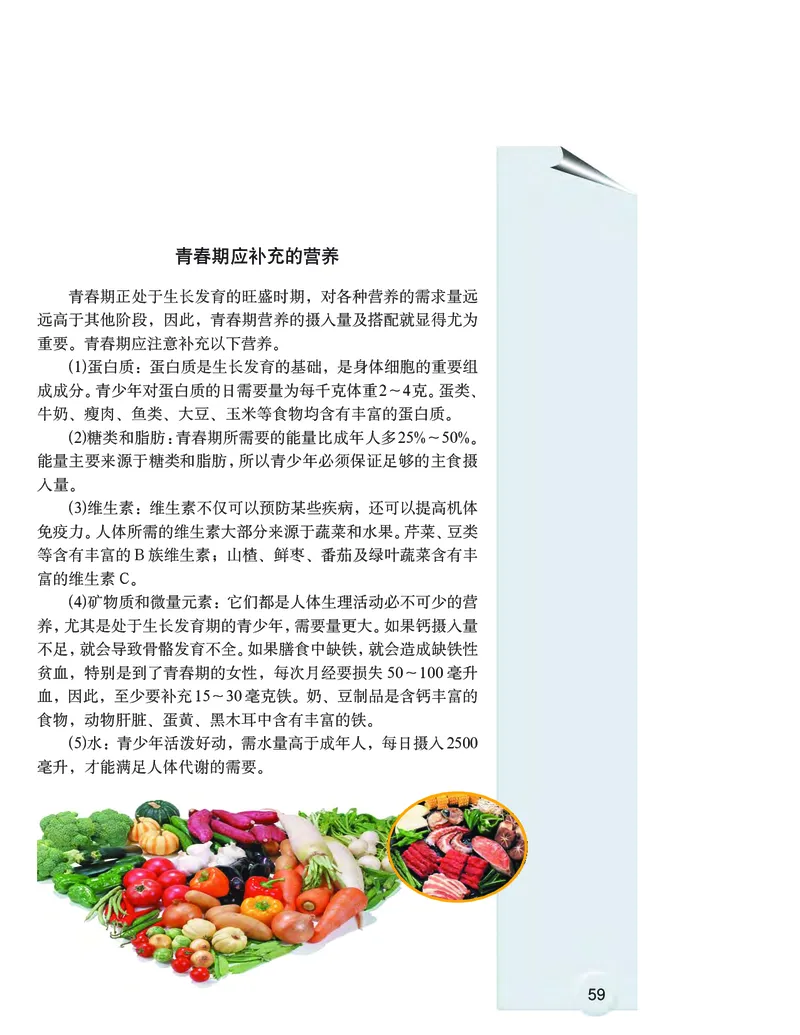 大象版6年级科学上册高清教材_全部版本&bull;小学科学电子课本_大象版小学科学电子课本