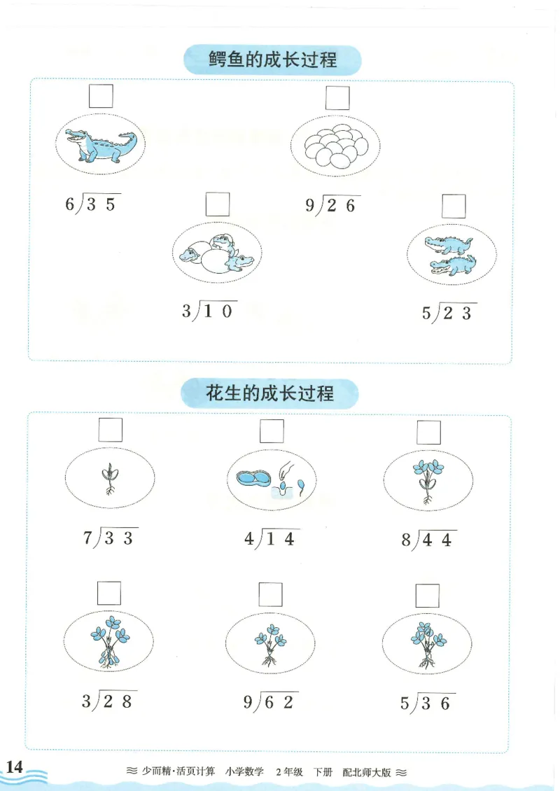 2025春北师大版数学2年级下册活页计算_二年级上下册资料_53黄冈多个品牌系列资料_数学