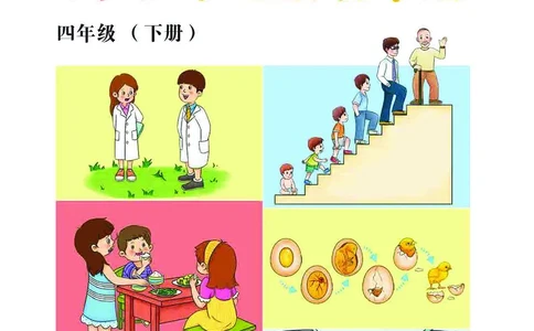 冀教版4年级科学下册活动手册_全部版本&bull;小学科学电子课本_冀教版小学科学电子课本