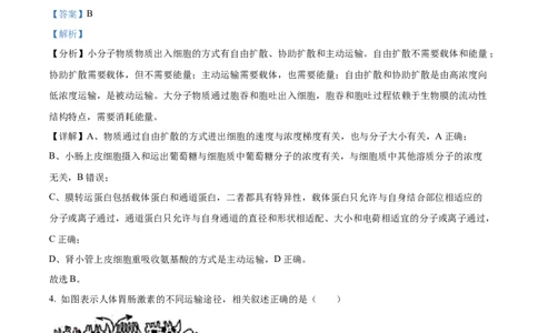 2021年高考生物试卷（江苏）（解析卷）_生物历年高考真题_新&middot;Word版2008-2025&middot;高考生物真题_生物（按年份分类）2008-2025_2021&middot;高考生物真题