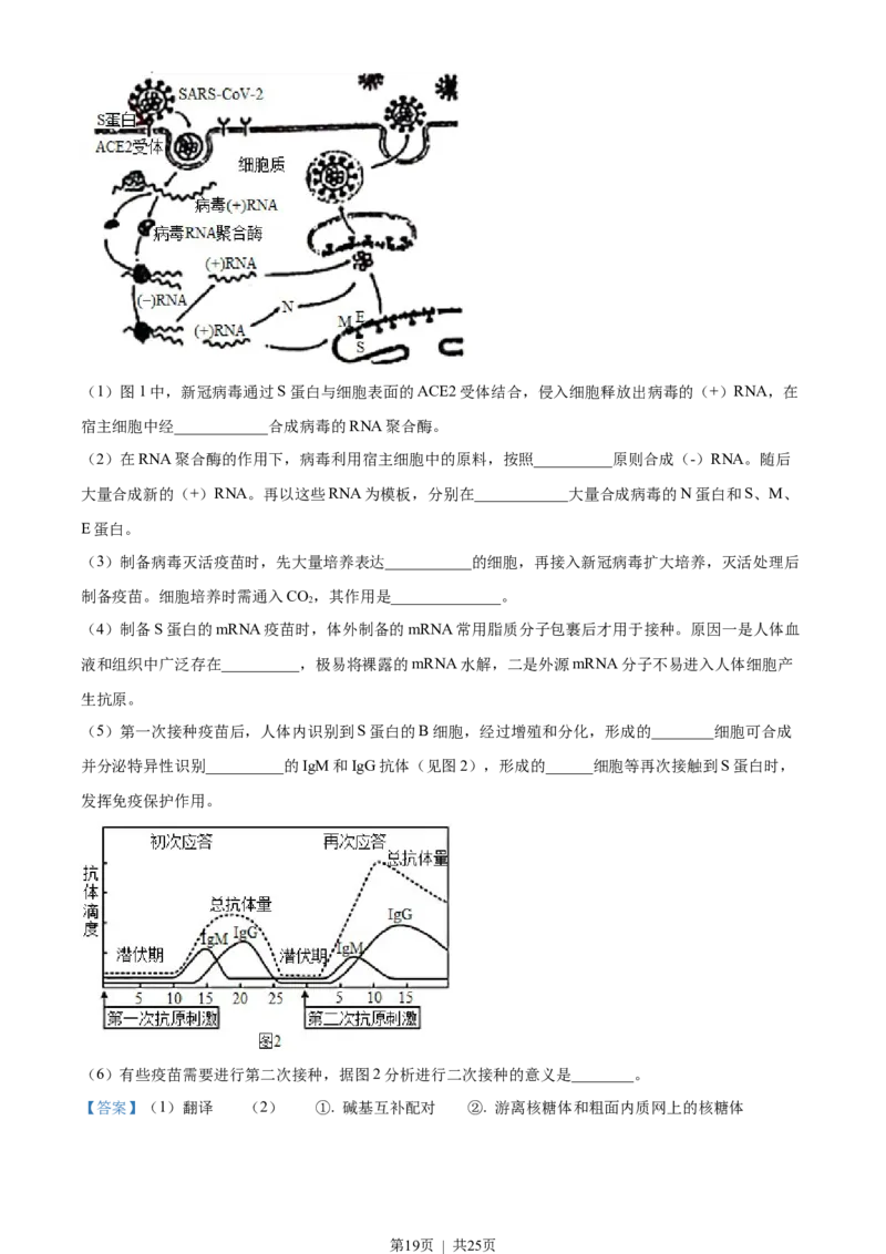 2021年高考生物试卷（江苏）（解析卷）_生物历年高考真题_新&middot;Word版2008-2025&middot;高考生物真题_生物（按年份分类）2008-2025_2021&middot;高考生物真题