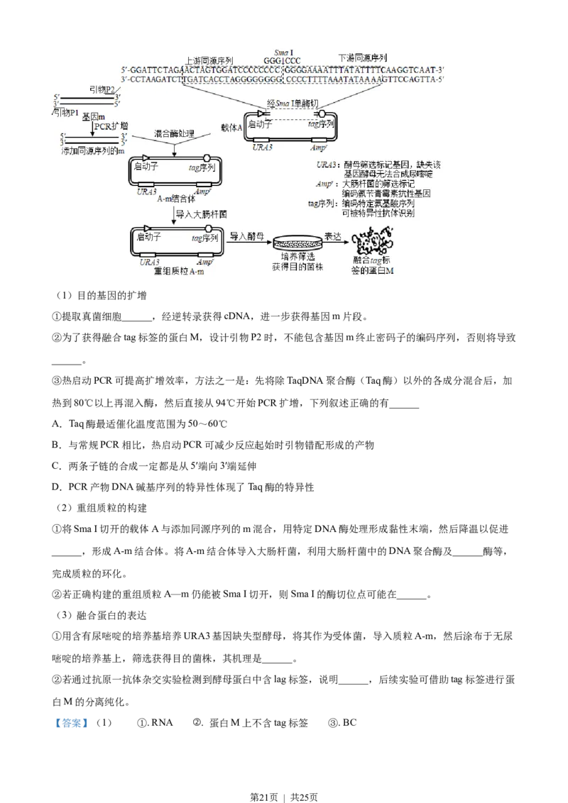 2021年高考生物试卷（江苏）（解析卷）_生物历年高考真题_新&middot;Word版2008-2025&middot;高考生物真题_生物（按年份分类）2008-2025_2021&middot;高考生物真题