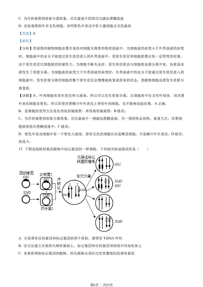 2021年高考生物试卷（江苏）（解析卷）_生物历年高考真题_新&middot;Word版2008-2025&middot;高考生物真题_生物（按年份分类）2008-2025_2021&middot;高考生物真题