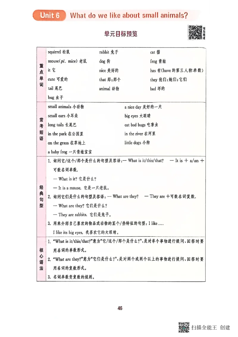 拔尖特训三年级上_25秋《拔尖特训》沪教版三上