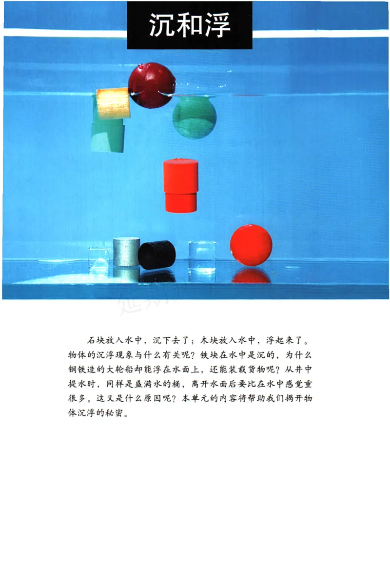 五年级下册科学教科版电子课本_全部版本&bull;小学科学电子课本_教科版小学科学电子课本_旧版