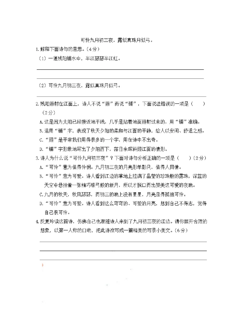 四（上）语文期末：传统文化与积累运用专项复习_上册_四（上）语文期末专项练习文件夹