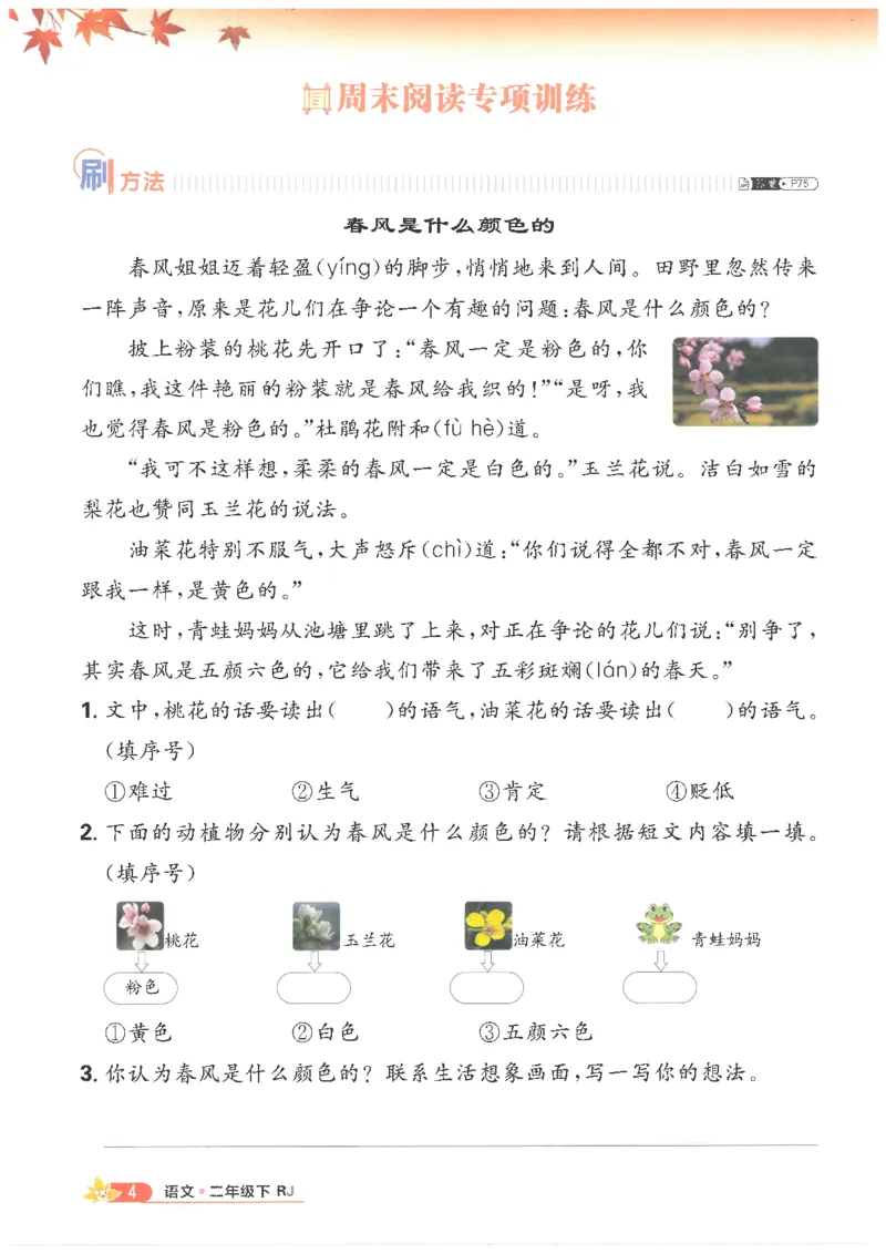 25小学必刷题语文二年级下RJ_二年级上下册资料_53黄冈多个品牌系列资料_语文