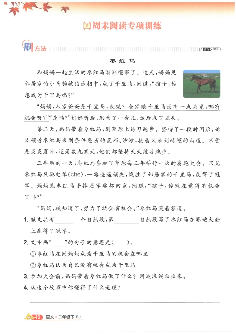 25小学必刷题语文二年级下RJ_二年级上下册资料_53黄冈多个品牌系列资料_语文