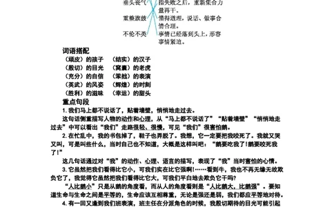 四（上）语文第六单元知识重点_上册_四（上）语文1-8单元核心重点