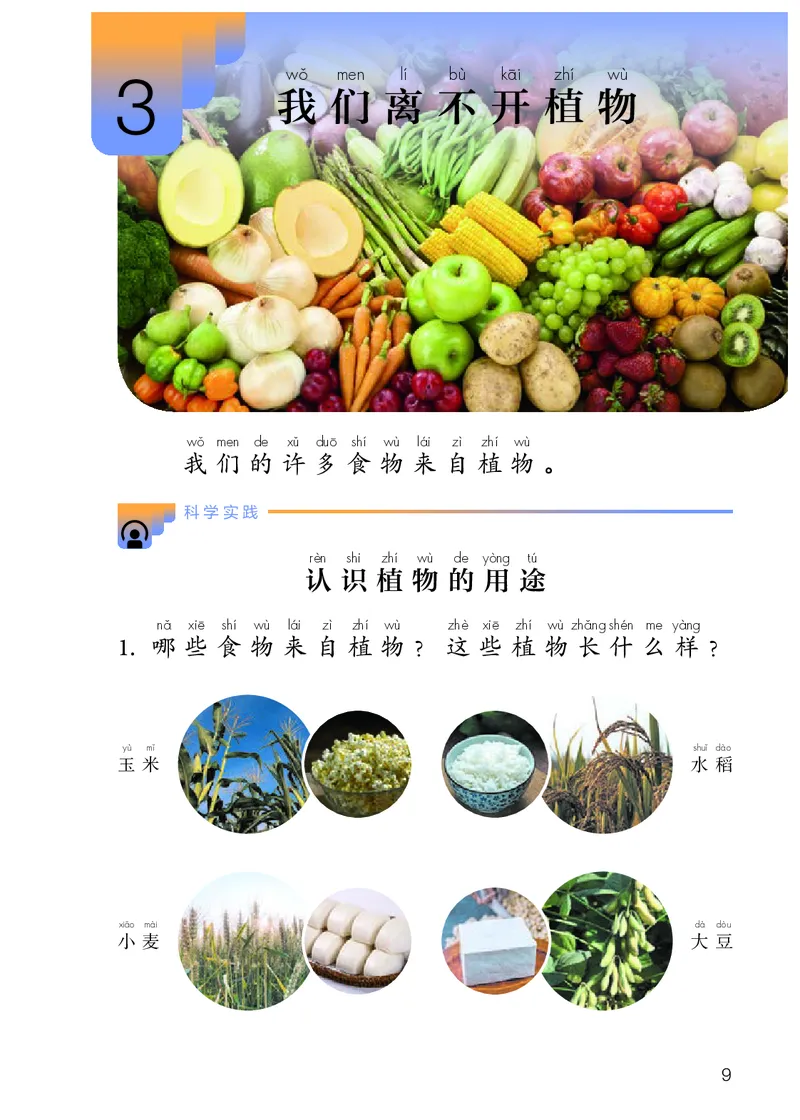 人教版2年级科学上册高清教材_全部版本&bull;小学科学电子课本_人教版小学科学电子课本