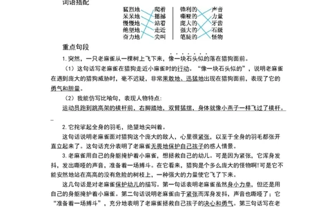 四（上）语文第五单元知识重点_上册_四（上）语文1-8单元核心重点