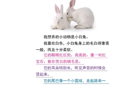 3.8第七单元我喜欢的小动物精选范文4篇二下语文_二年级上下册资料_小学二年级学习资料-25年更新版_2-02、小学二年级语文下册_2-2-2、练习题、作业、试题、试卷_专项练习