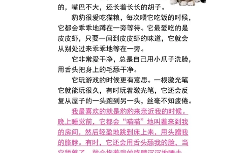 3.8第七单元我喜欢的小动物精选范文4篇二下语文_二年级上下册资料_小学二年级学习资料-25年更新版_2-02、小学二年级语文下册_2-2-2、练习题、作业、试题、试卷_专项练习