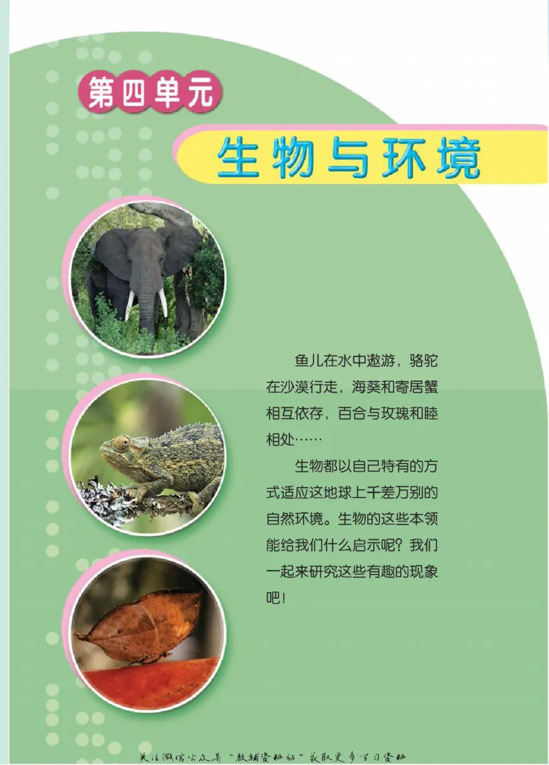 四年级下册科学青岛五四制电子课本_全部版本&bull;小学科学电子课本_青岛版54制小学科学课本