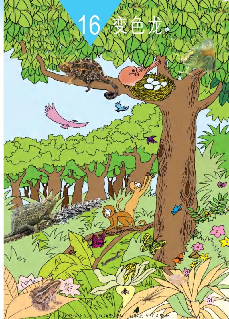 四年级下册科学青岛五四制电子课本_全部版本&bull;小学科学电子课本_青岛版54制小学科学课本