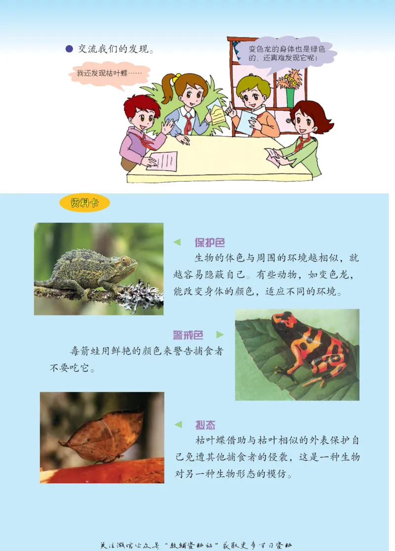 四年级下册科学青岛五四制电子课本_全部版本&bull;小学科学电子课本_青岛版54制小学科学课本