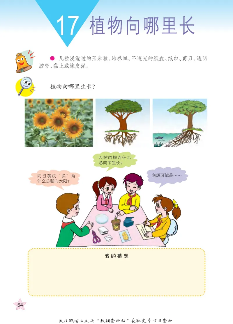 四年级下册科学青岛五四制电子课本_全部版本&bull;小学科学电子课本_青岛版54制小学科学课本