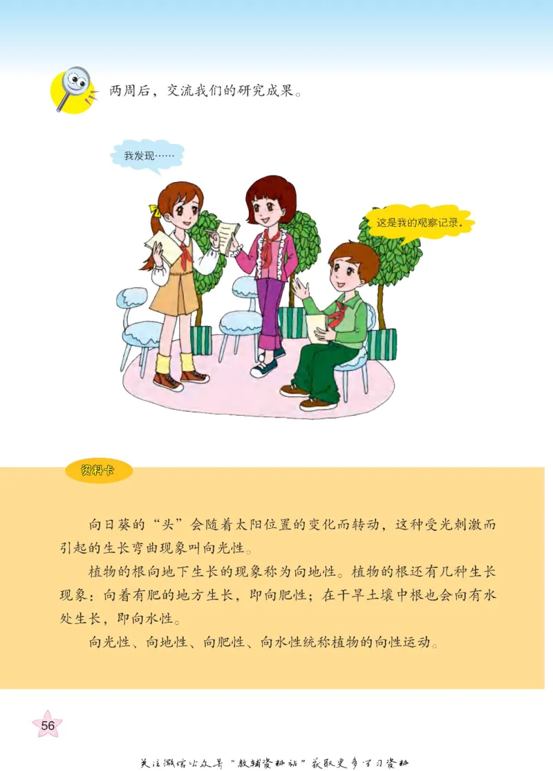 四年级下册科学青岛五四制电子课本_全部版本&bull;小学科学电子课本_青岛版54制小学科学课本