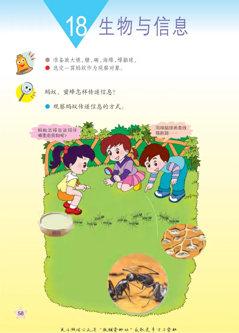 四年级下册科学青岛五四制电子课本_全部版本&bull;小学科学电子课本_青岛版54制小学科学课本