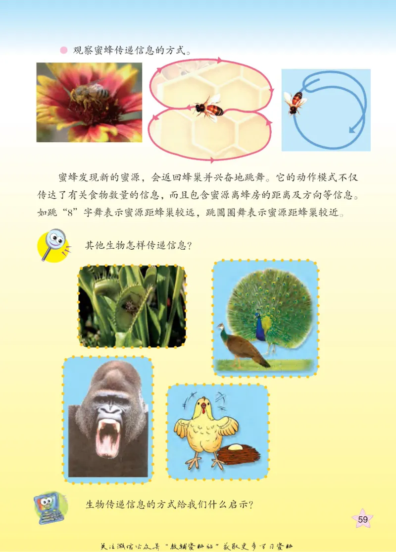 四年级下册科学青岛五四制电子课本_全部版本&bull;小学科学电子课本_青岛版54制小学科学课本