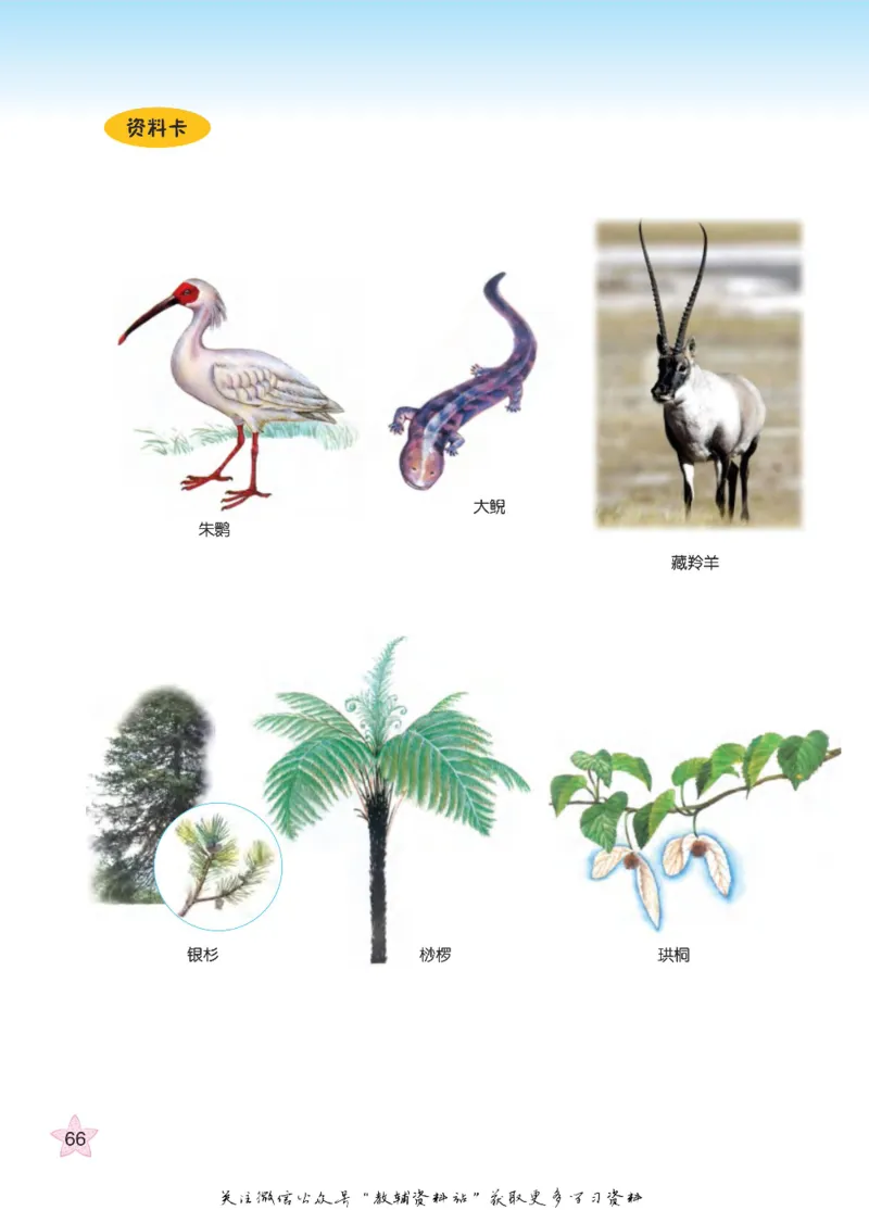 四年级下册科学青岛五四制电子课本_全部版本&bull;小学科学电子课本_青岛版54制小学科学课本