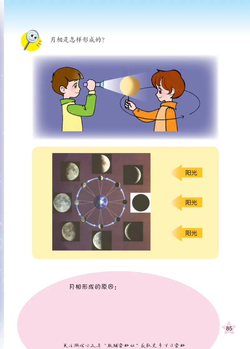 四年级下册科学青岛五四制电子课本_全部版本&bull;小学科学电子课本_青岛版54制小学科学课本