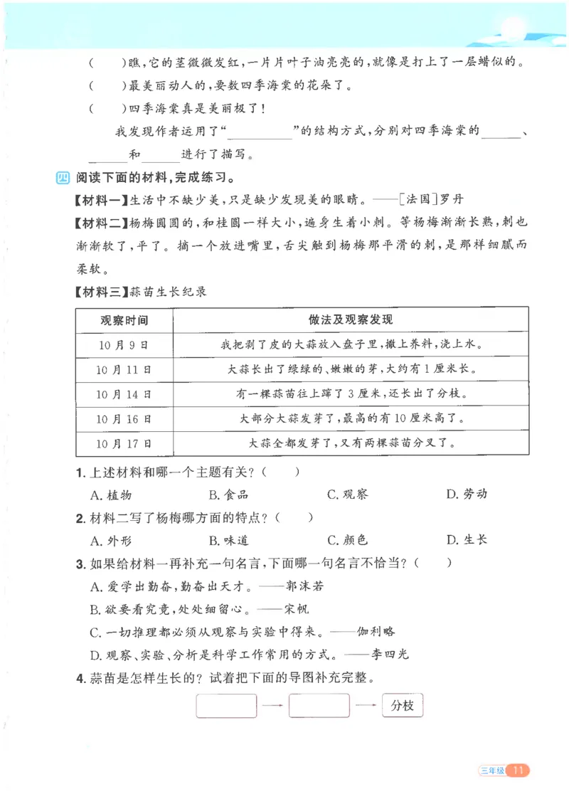 25版《阳光同学寒假衔接》语文3年级_三年级上下册资料_53黄冈多个品牌系列资料_语文
