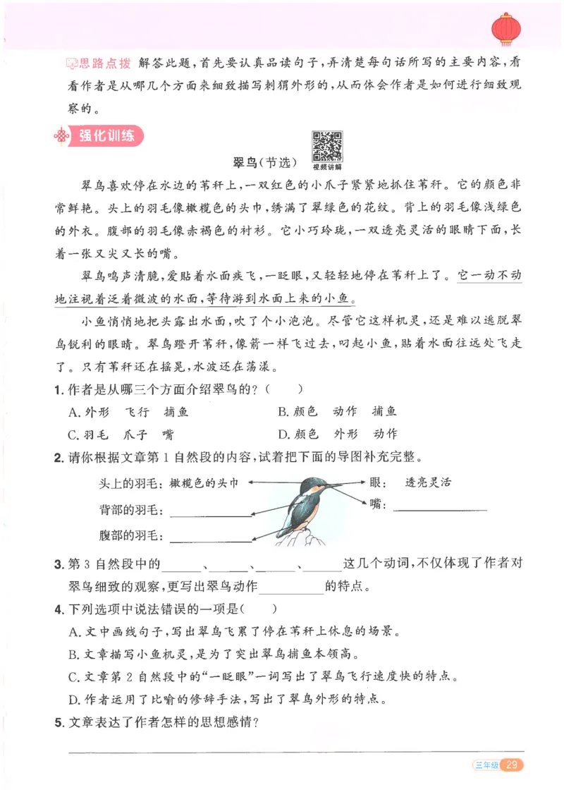 25版《阳光同学寒假衔接》语文3年级_三年级上下册资料_53黄冈多个品牌系列资料_语文