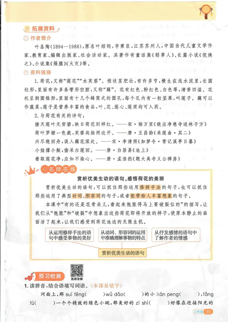 25版《阳光同学寒假衔接》语文3年级_三年级上下册资料_53黄冈多个品牌系列资料_语文