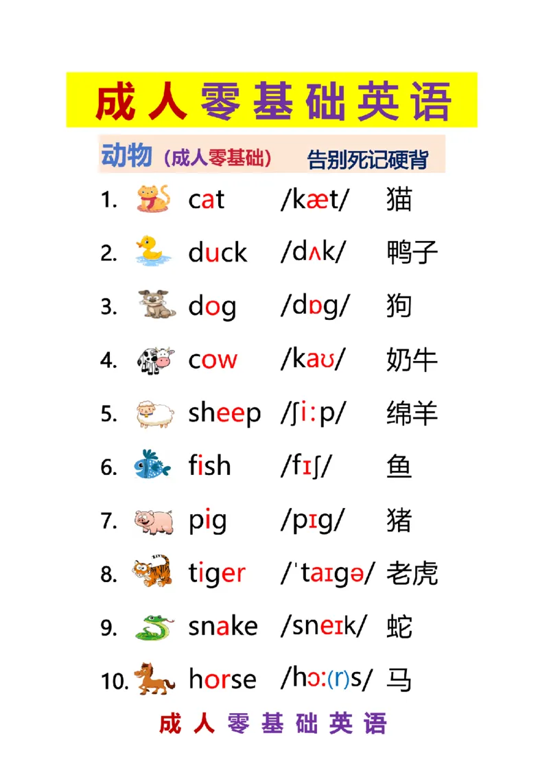 单词0802-_动物_小学全网线上同款资料_28号文件小初英语