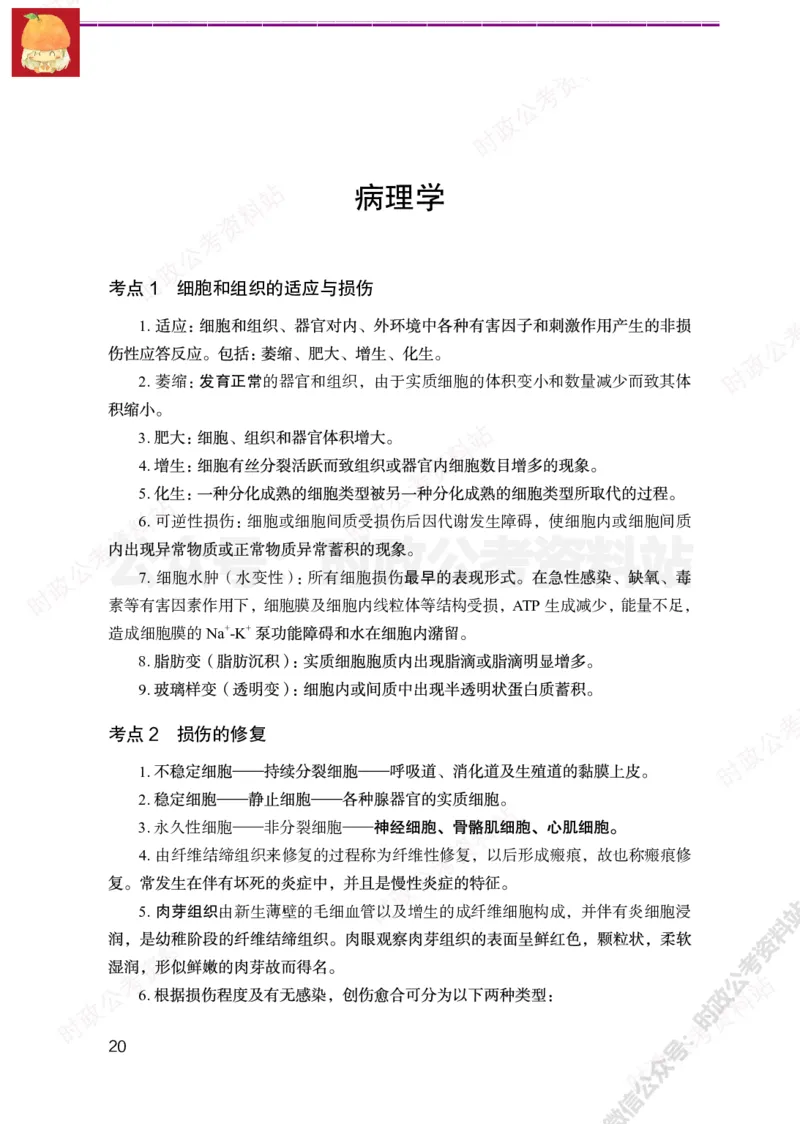 医学类-医学基础必背考点_军队文职(1)_05.军队文职专业课必备考点