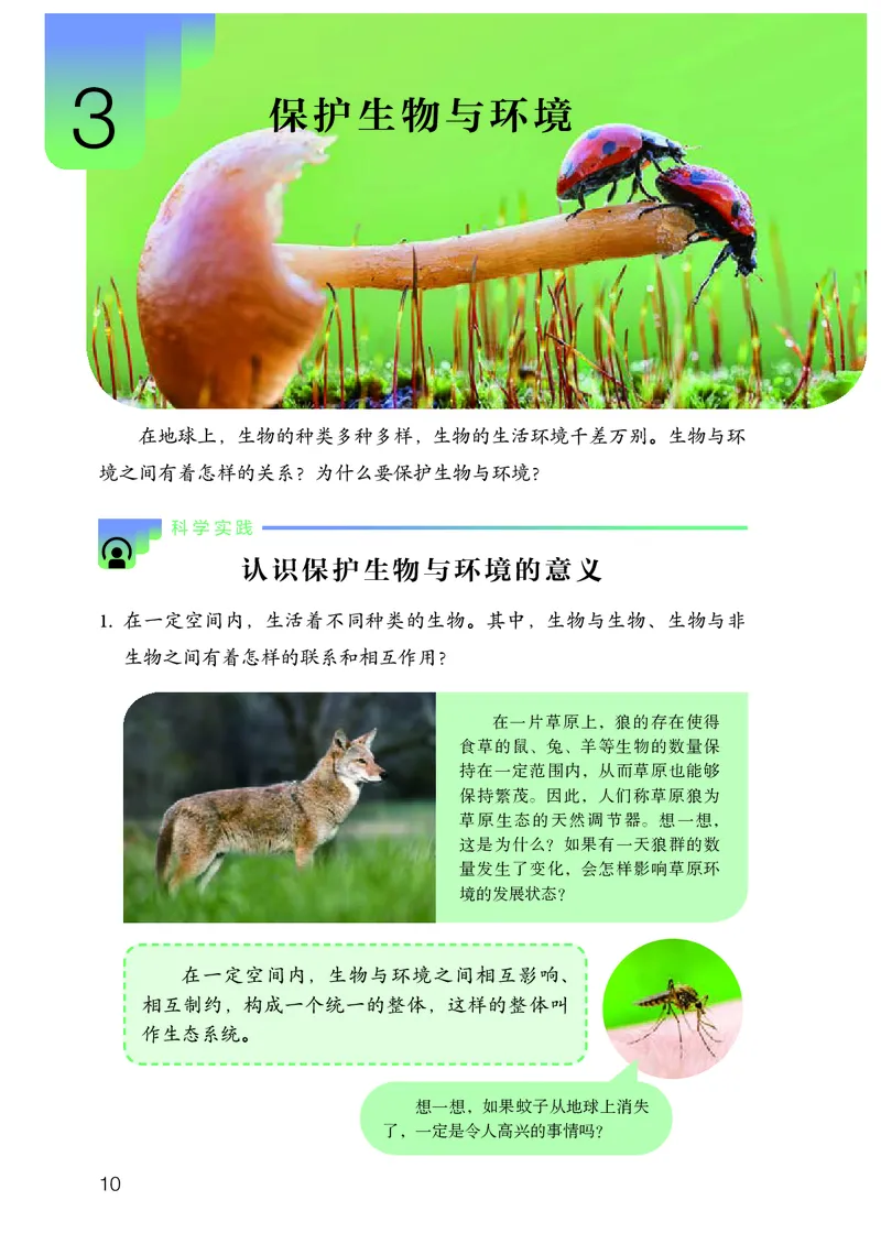 人教版6年级科学下册高清教材_全部版本&bull;小学科学电子课本_人教版小学科学电子课本