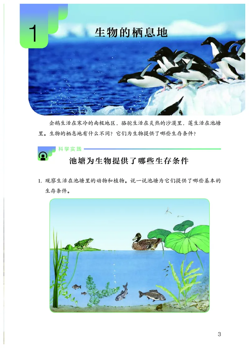 人教版6年级科学下册高清教材_全部版本&bull;小学科学电子课本_人教版小学科学电子课本