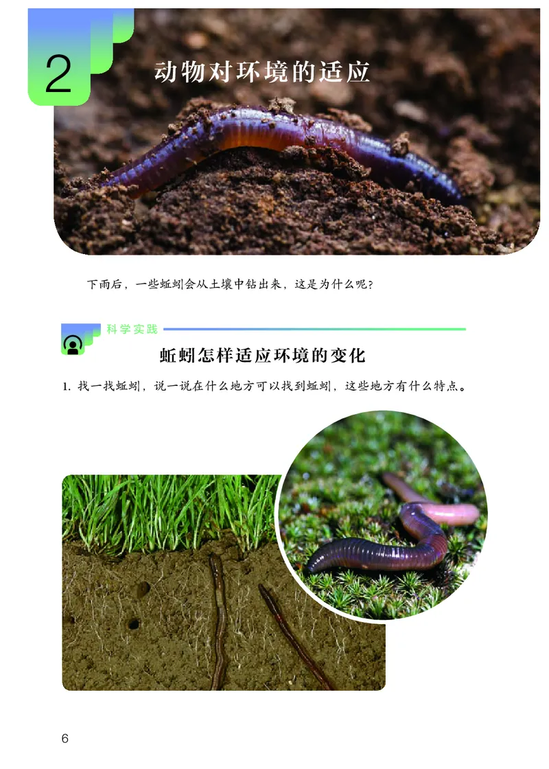 人教版6年级科学下册高清教材_全部版本&bull;小学科学电子课本_人教版小学科学电子课本