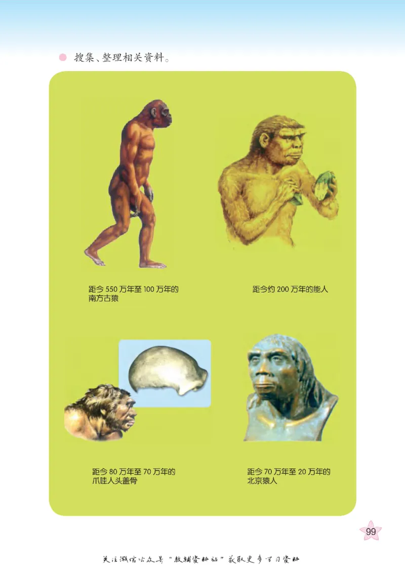 五年级下册科学青岛五四制电子课本_全部版本&bull;小学科学电子课本_青岛版54制小学科学课本