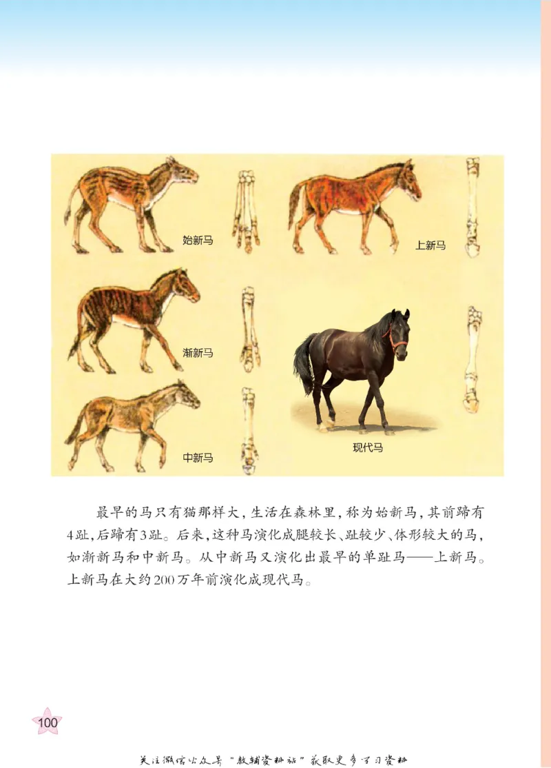 五年级下册科学青岛五四制电子课本_全部版本&bull;小学科学电子课本_青岛版54制小学科学课本