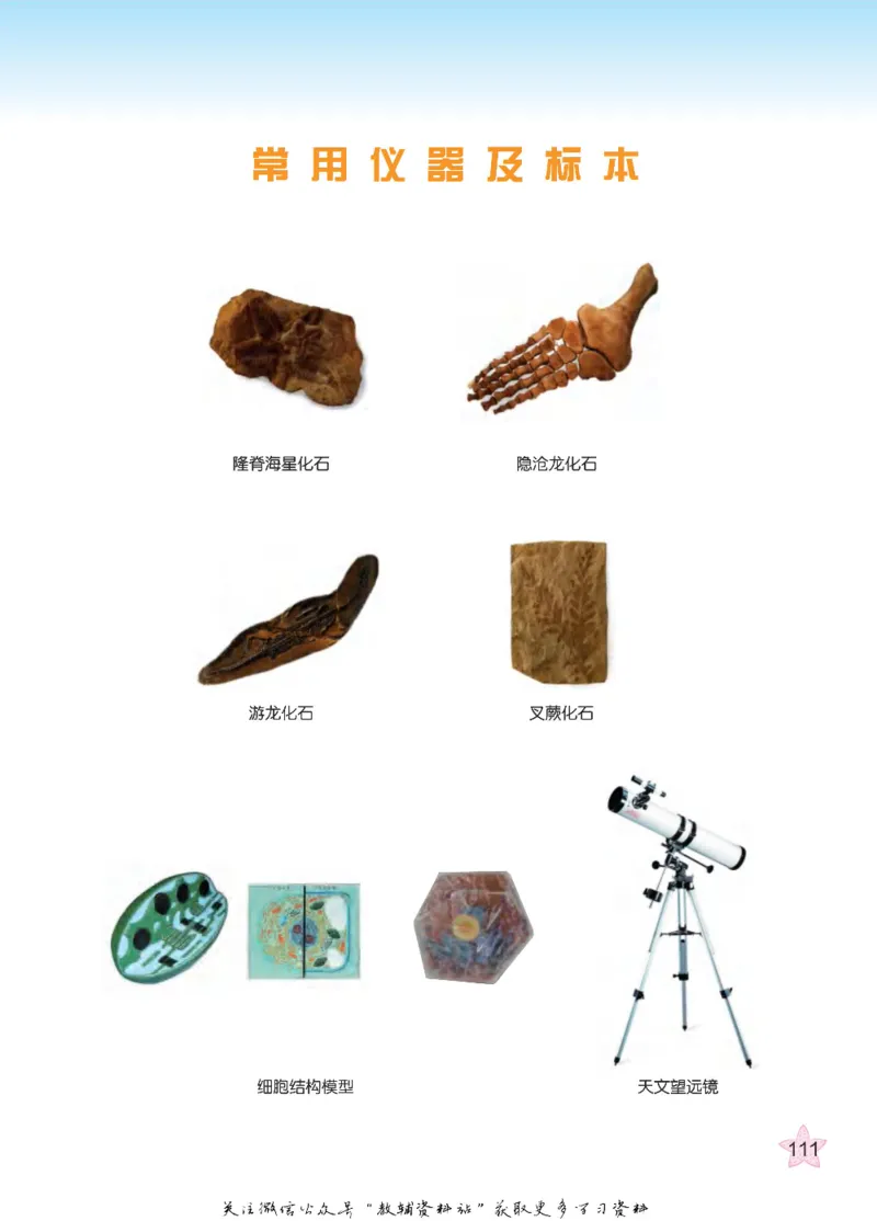 五年级下册科学青岛五四制电子课本_全部版本&bull;小学科学电子课本_青岛版54制小学科学课本