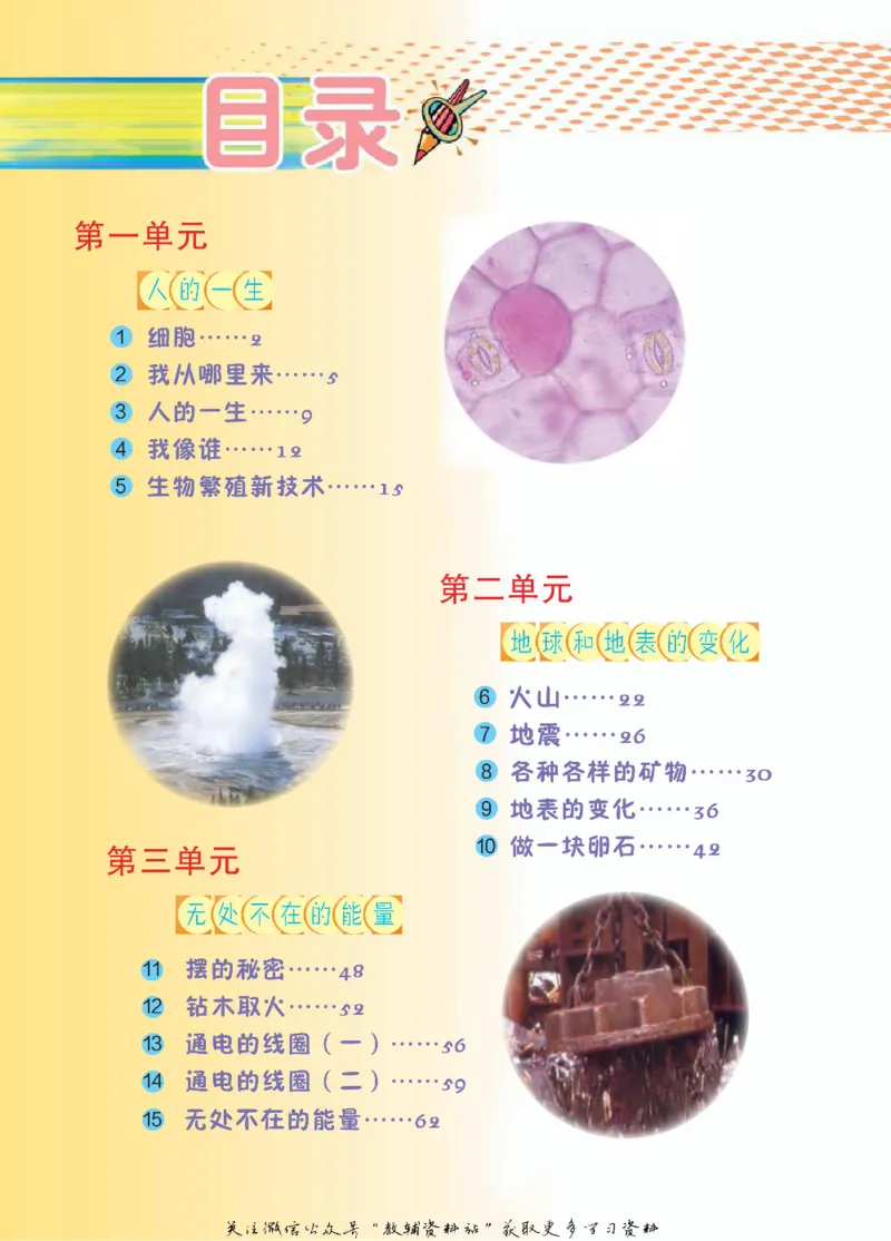 五年级下册科学青岛五四制电子课本_全部版本&bull;小学科学电子课本_青岛版54制小学科学课本