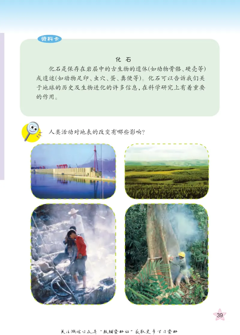 五年级下册科学青岛五四制电子课本_全部版本&bull;小学科学电子课本_青岛版54制小学科学课本