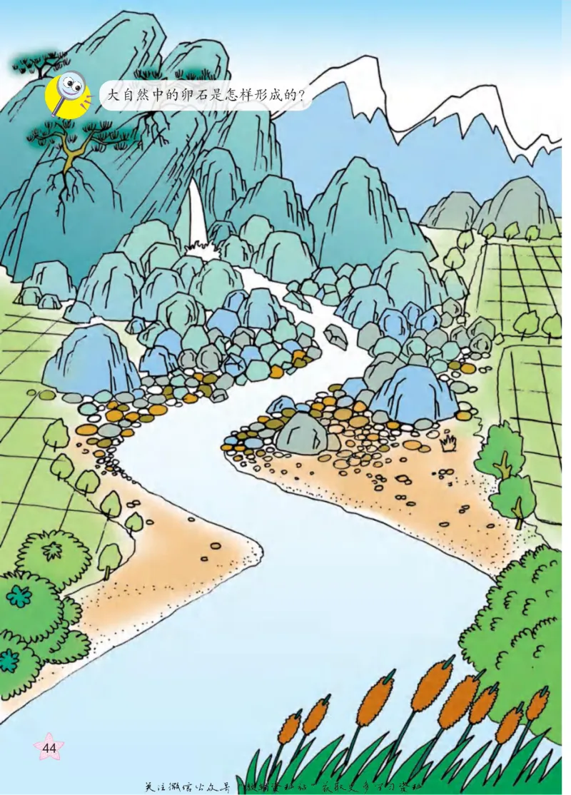 五年级下册科学青岛五四制电子课本_全部版本&bull;小学科学电子课本_青岛版54制小学科学课本