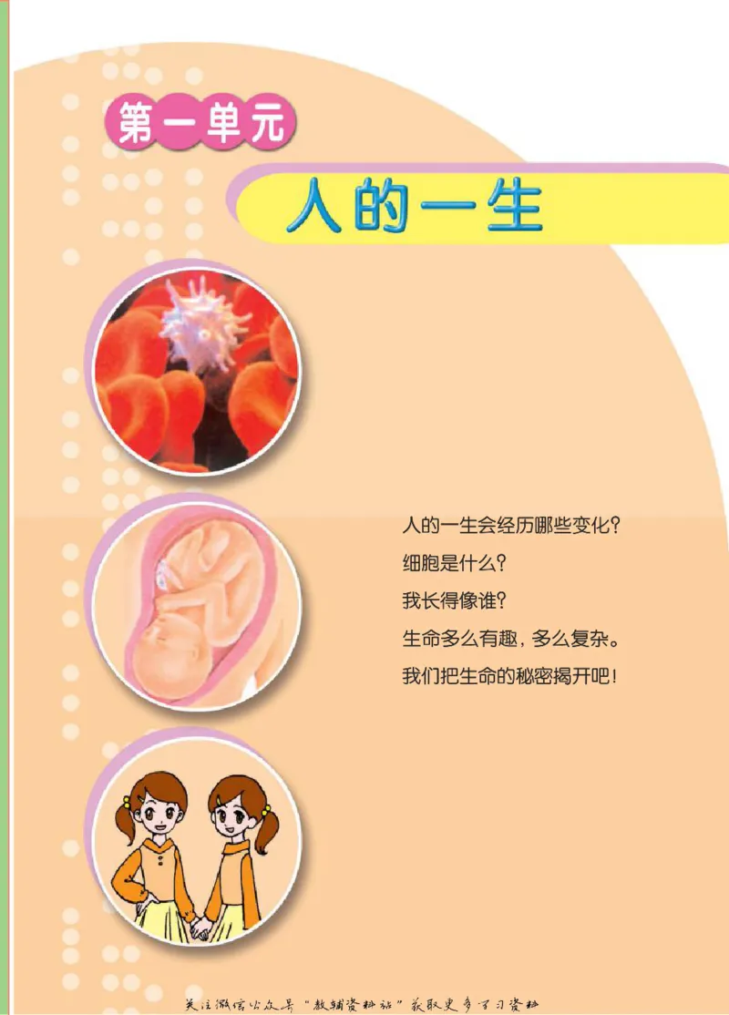 五年级下册科学青岛五四制电子课本_全部版本&bull;小学科学电子课本_青岛版54制小学科学课本