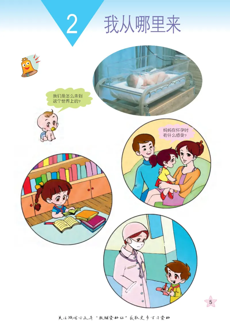 五年级下册科学青岛五四制电子课本_全部版本&bull;小学科学电子课本_青岛版54制小学科学课本