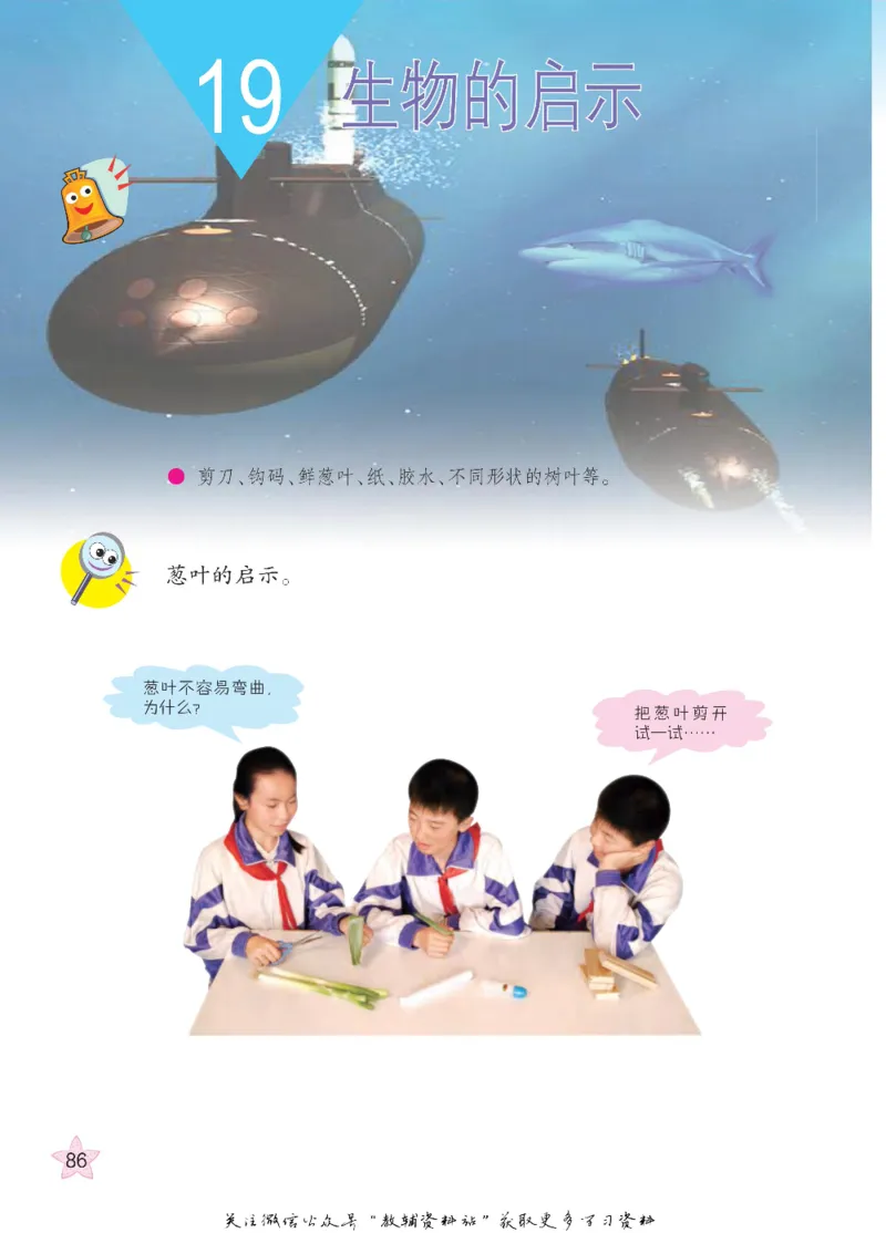 五年级下册科学青岛五四制电子课本_全部版本&bull;小学科学电子课本_青岛版54制小学科学课本